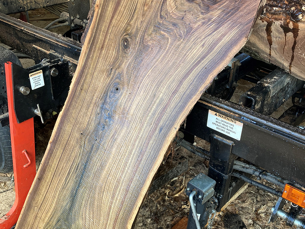 Black walnut slab
